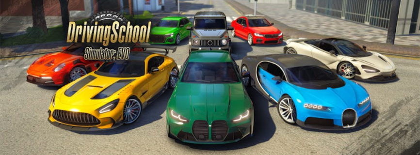 Driving School Simulator : Evo